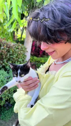 A post by @nairaakamal1 on TikTok caption: اختاروا صح  ( كم حاولت أن أجعله مشعاً لكنه أبهتني ) 