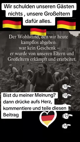 A post by @andiohmsen81 on TikTok caption: #foryou #fyp #germany🇩🇪 #AfD #viral #deutschland #viral_video 