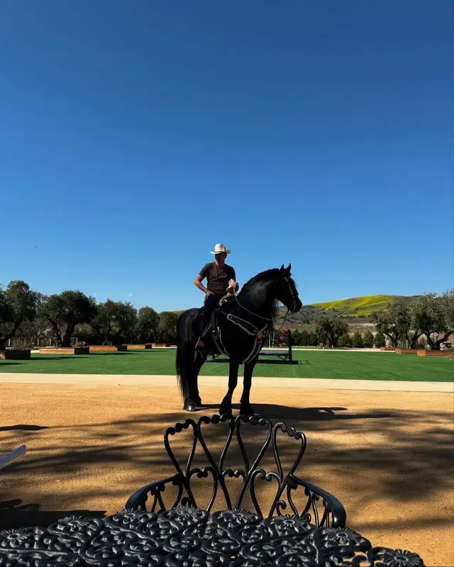 A post by @panterbelikikii_ on TikTok caption: Saludos plebes a la orden, ánimo!🤠🐎👍🏾 #ARTURITO #PANTERBELICO #PARATI #1MVIEWS #PANTERBELIKIKI #PANTERBELIKIKI #HAPPY #USA #GUAPO #VIEWS #GALACTICO #CABALLOS #LIKES  