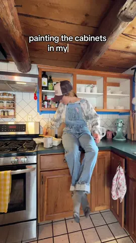 A post by @steadyrein on TikTok caption: no one has more opinions than the anti-painters who don’t pay my mortgage #cabin #DIY #homestead 
