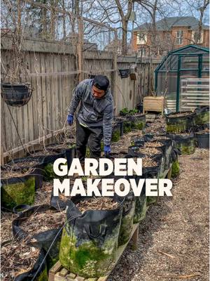 A post by @plantedinthegarden on TikTok caption: This was a big #gardenproject this year. We ended up replacing our fabric grow bags due to damages done by squirrels.  We went with a more permanent solution and installed Vego Garden modern raised bed. It was a lot of work but the garden is looking much better. Can’t wait to show you all what we will grow here💚  For a limited time only, get $25 OFF your entire order at vegogarden.com  Use Promo Code: PLANTEDINTHEGARDEN25 Valid till June 3, 2025 Check out the link in our bio for more #sponsored #gardening #urbangarden #gardeningideas