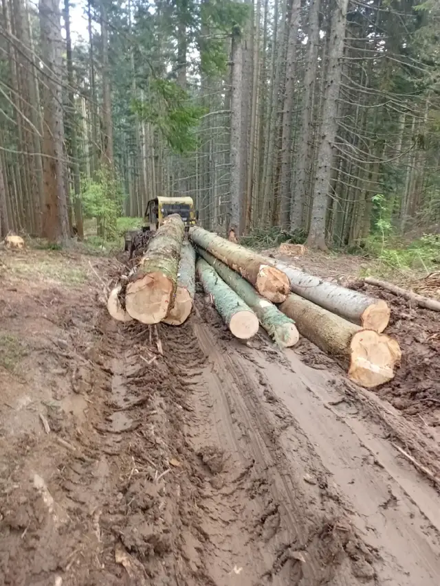 A post by @savovujadinovic on TikTok