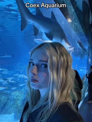 A post by @honeypuu on TikTok caption: Wie sehr fühlt ihr die Schildkröte? 😄 @melissa♡ @ROSEMONDY 🌹 @ELQUARIA #honeypuu #coexaquarium #viral #fyp #foryou 