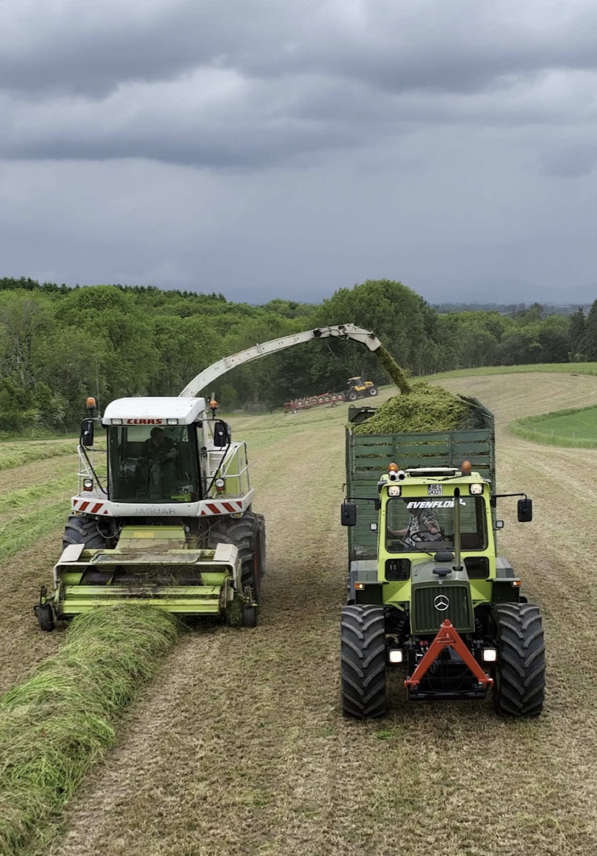 A post by @evenflow60 on TikTok caption: ITS ALL ABOUT HORSEPOWER #mercedes #mbtrac #om352a #claas #v8 #jaguar900 #chopper #harvester #grass25 #silage #fyp #evenflow #evenflowtractors 