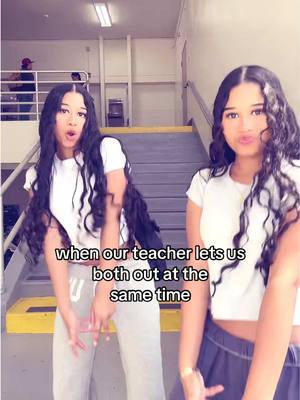 A post by @aleyahandaleysha on TikTok caption: First mistake #twinsisters #aleyahausbie #aleyshaausbie 