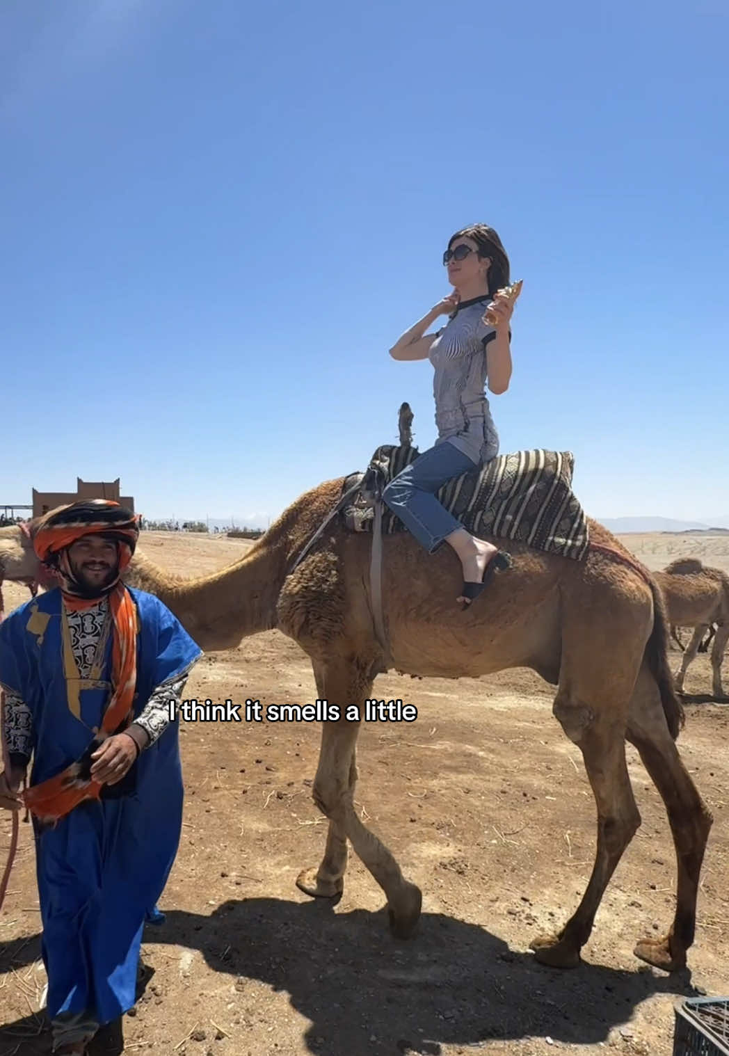 A post by @dylanmulvaney on TikTok caption: best day ever thanks to @JeanPaulGaultier Gaultier Divine fragrance and this camel 🐪#jeanpaulgaultier #GaultierDivine
