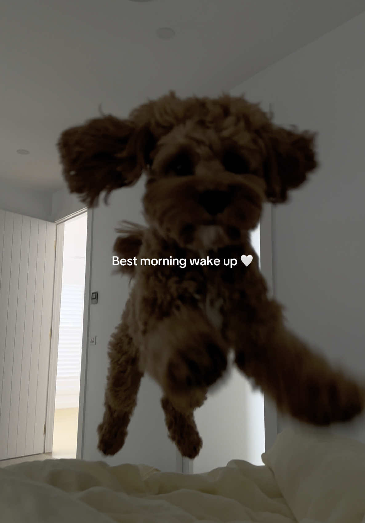 A post by @chloe.roberts__ on TikTok caption: Every morning 🤍 