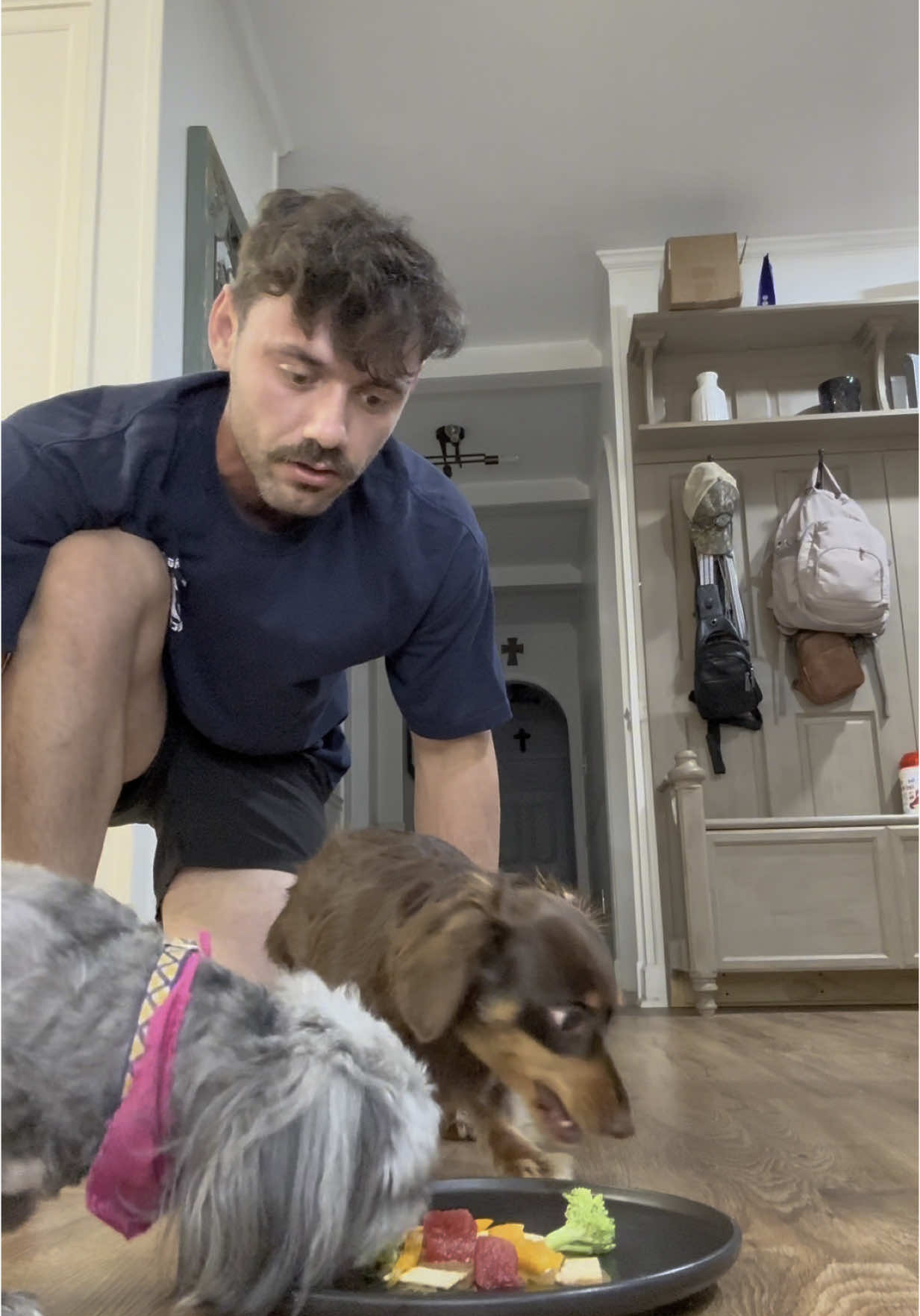 A post by @lilmfcurb on TikTok caption: Bella is selfish smh