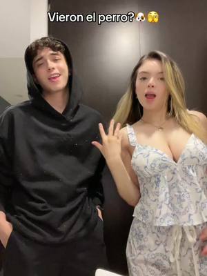 A post by @ferbarraza88 on TikTok caption: @CAMILA SÁNCHEZ 