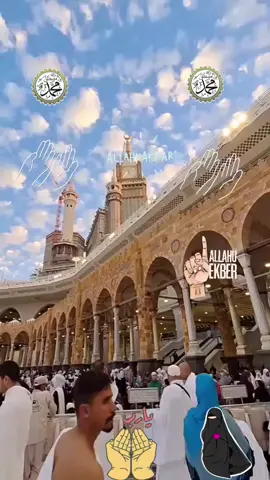A post by @abdelrarro84 on TikTok caption: #💝💝 #🙌🙌🙌🙌🙌🙌🙌🙌 #🙏 #🤲🤲🕋🕋🤲🤲 #☝️❤️ #💚💚💚 #❤️ #🕌🕋🕌🤲🤲 #🤲🤲🕋🕋🤲🤲 #🙏🙏🙏🙏🙏🙏🙏🙏🙏 #🌹🌹 #🙌🙌🙌 #🤍🤍🤍🤍🤍🤍🤍🤍🤍🤍🤍🤍🤍 #🙌🙌🙌 #🌹🌹🌹🌹🌹🌹 #😭😭😭😭😭😭💔💔💔💔 #🥰🥰🥰 #🙌🙌 #💝💝💝💝💝💝 #😭😭 #🙌🙌🙌🙌🙌🙌🙌🙌🙏🙏🙏🙏🙏🙏🙏🙏🙏 