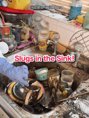 A post by @cleanwithbea on TikTok caption: Deep Cleaning the Worst Kitchen Sink!  #cleaning #CleanTok #deepclean #kitchensink #slugs 