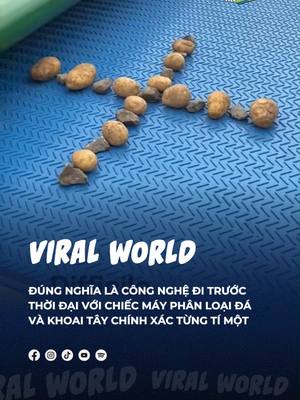 A post by @beatvn_viralworld on TikTok caption: Sao mà lọc được chuẩn thế nhờ =))) #beatviralworld #beatnetwork #bnetwork #beatvn #beatoflife
