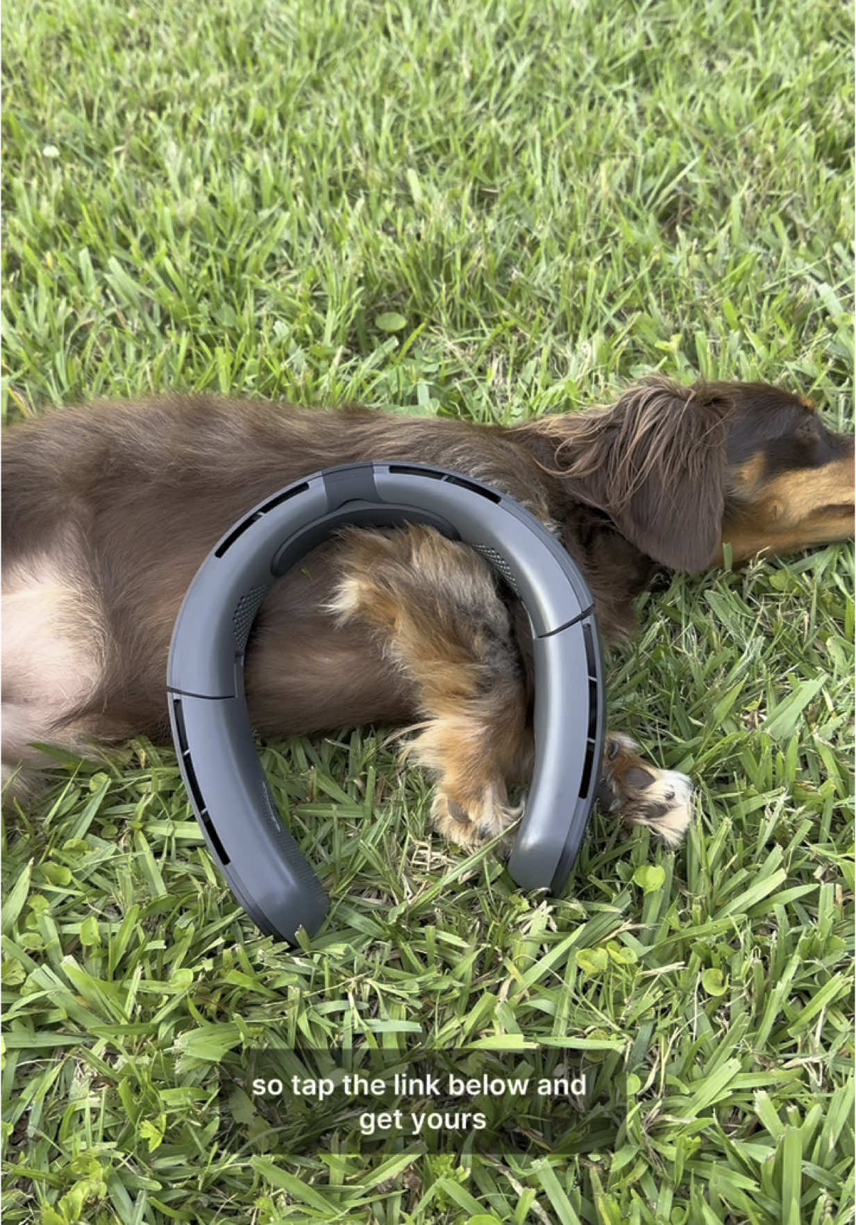 A post by @lilmfcurb on TikTok caption: The Coolite Foldable Neckfan from Torras is a must have for all outdoor activities🤝