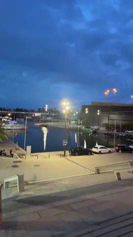 A post by @barce371 on TikTok