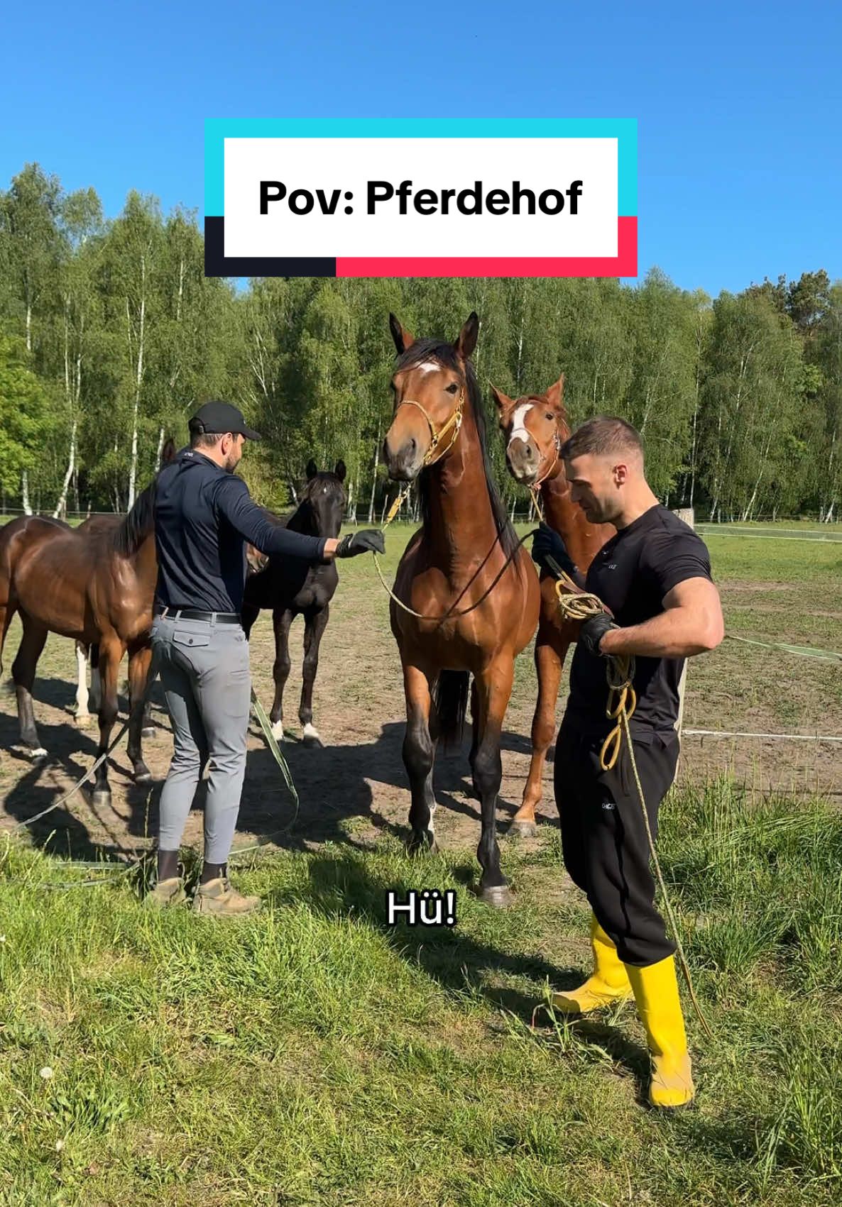 A post by @nico_spedicato on TikTok caption: Dass er mich da wirklich hat da laufen lassen ist frech🙃😂 @Patrick.Thomalla #comedy #pferde #Fitness 
