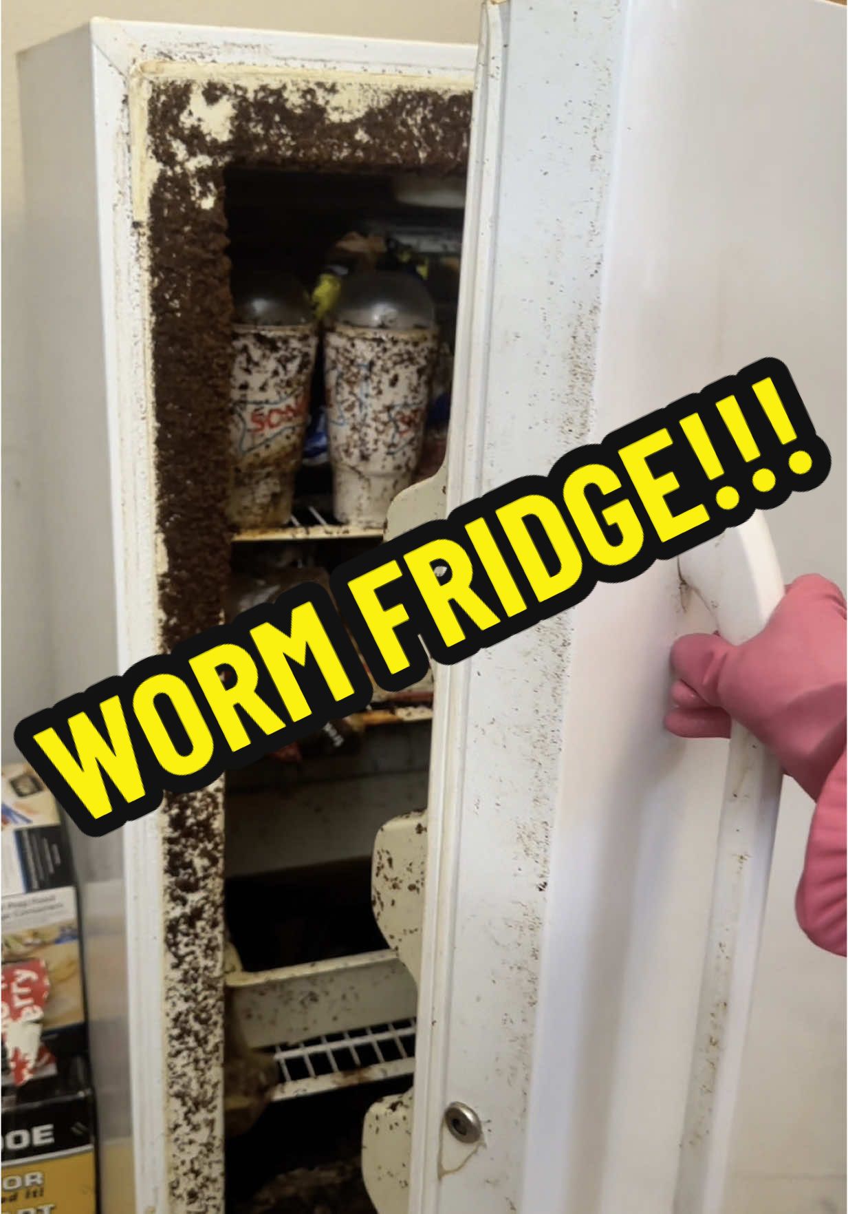 A post by @aurikatariina on TikTok caption: That burger tho! 😋  #deeplclean #oddlysatisfyingvideo #dirtyhome #messyhome 