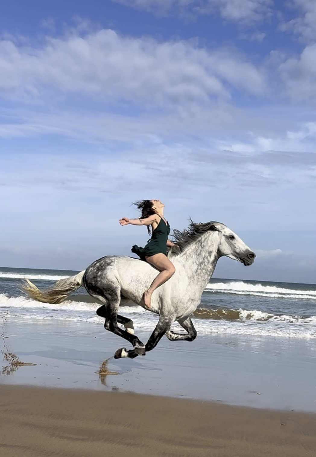 A post by @essaouirahorseparadise on TikTok caption: WE ARE NOT AN AI ACCOUNT 🙌🏼 Amazing rider Nina enjoying the freedom with our big boy, Amigo. 🐎💨 . . . . . . 👉🏼 We are a Travel Agency based in Essaouira (Morocco). Join us for an unforgettable horseride holidays. Ride the best horses in town, and meet the best team of riders.  . . . . . . #horses #horsesoftiktok #horse #horsetok #equestrian #fyp #cheval #fypage #viral #viralvideo #pferd #horsesontiktok #лошадь #horselove #essaouira #morocco #lovak #caballos #cavalli #horsegirl #brave 