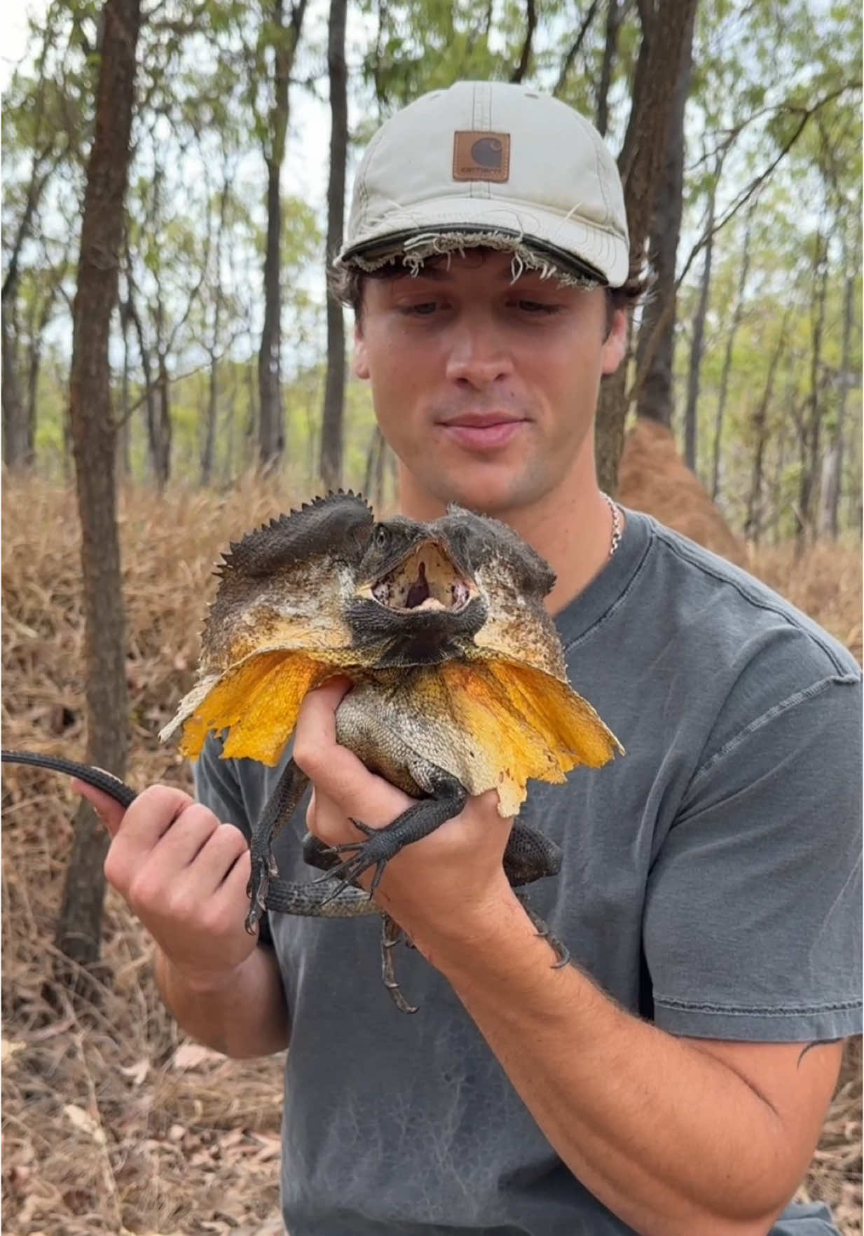 A post by @robert_kelley on TikTok caption: Just realized I never posted this dude from Australia trip