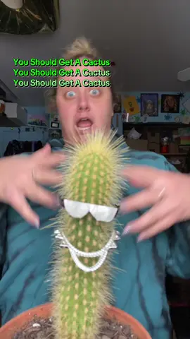 A post by @christines_snaps on TikTok caption: Fits perfectly 🌵Attitude optional😂 #cactus #plant 