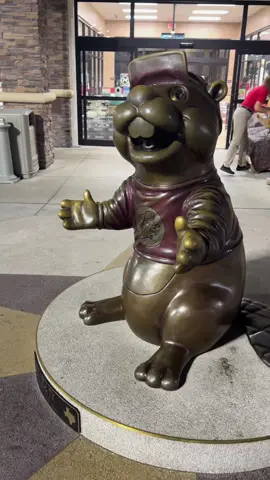 A post by @katealyisbrown on TikTok caption: Can’t ever go to the south and not hit it Bussey’s ‼️👏🏾 #buccees #bucceestexas #busseys #funny #beaver #texas #tx #roadtrip #kolache 