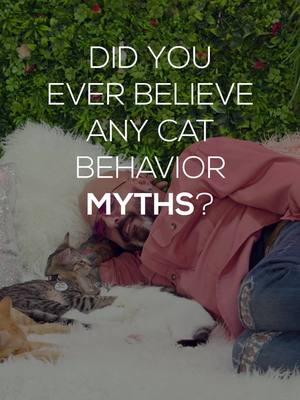 A post by @jacksongalaxy on TikTok caption: One cat behavior myth I used to believe was… #cats #catbehavior #myths #catlovers 