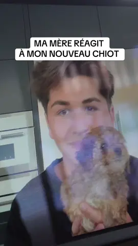 A post by @marcantoinedelage_ on TikTok caption: 4 choix pour m’aider à trouver son nom…🥲 BESOIN DE VOUS!!! 1. Alice 2. Abby 3. Ally 4. Adèle  J’ai posté un VLOG: MON NOUVEAU CHIOT sur YouTube!! Le lien est en bio