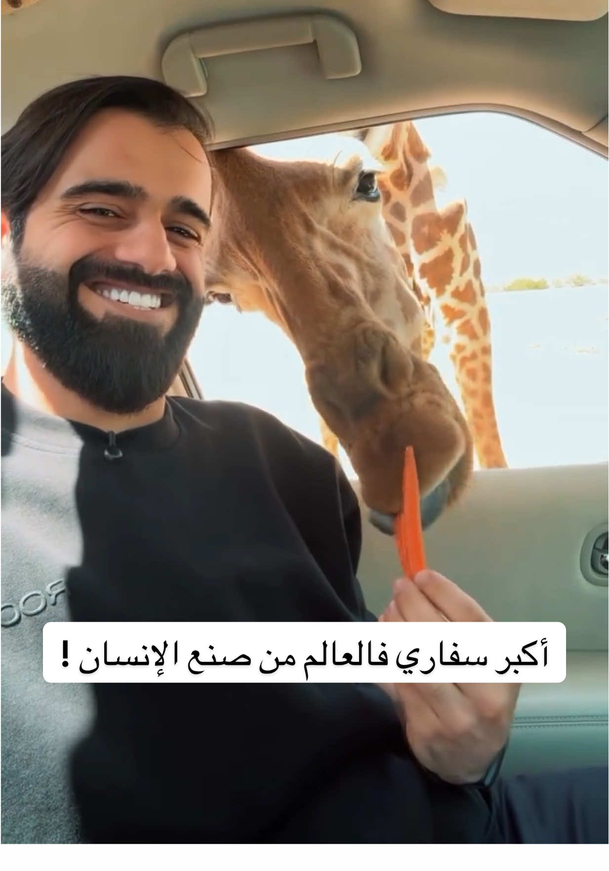 A post by @qqq on TikTok caption: أكبر سفاري فالعالم من صنع الإنسان ! سفاري العين 🇦🇪🦒 A day in @AlAinZooUAE🐒  🐘🐐🐆🦓🦏🦘 @Visit Abu Dhabi  #QQQ #visitabudhabi #visitalain 