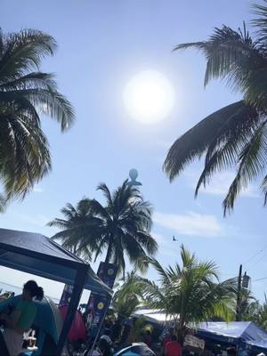 A post by @tomas355sad on TikTok caption: #paratii 