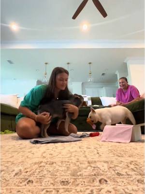 A post by @emmamarie on TikTok caption: safe to say my dogs LOVE @tarte cosmetics @Maureen Kelly and i do too 🤭🩷✨