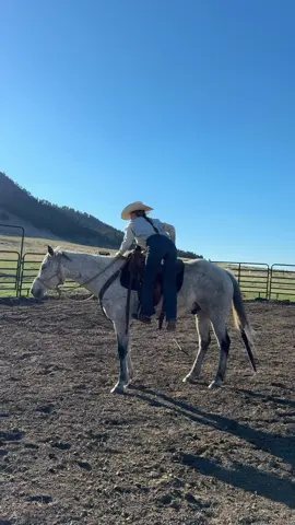 A post by @steadyrein on TikTok caption: @Chewy #ChewyPartner Let’s knock that dust off, the weather is warming up and riding season is among us. One Chewy Autoship drop stocked us with the essentials, delivered straight to the tack room, so I can trade town runs for saddle miles. Link in bio with all of my selects!