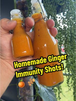 A post by @2guysandsomeland on TikTok caption: Home made Ginger Immunity Shots 🫚 🍊… kinda #foryou #ginger #cooking #immunityshots #homemade #orange #garden #couple #tinyhouse #fypシ 