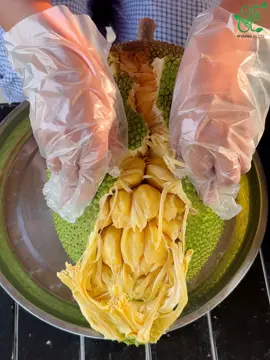 A post by @myaing94 on TikTok caption: ပိန္နဲသီး ခွဲစားမယ် #Myaing #FYP