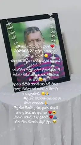 A post by @hansidilru1996 on TikTok caption: #sL_Korean🇱🇰♥️🇰🇷___ ඔයාට ගොඩක් ආදරෙයි තාත්තෙ 😔🫂🙏