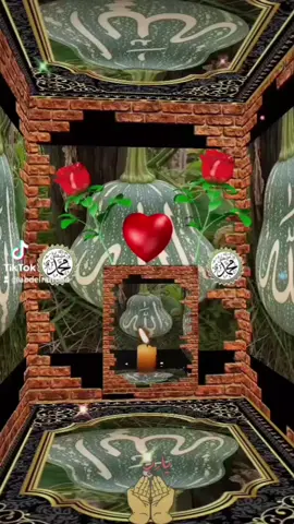 A post by @abdelrarro84 on TikTok caption: #🙌🙌🙌🙌 #💝💝 #🙏 #☝️❤️ #💚💚💚 #❤️ #❤️ #❤️ #🕌🕋🕌🤲🤲 #🙏🙏🙏🙏🙏🙏🙏🙏🙏 #🤍🤍🤍🤍🤍🤍🤍🤍🤍🤍🤍🤍🤍 #🌹🌹🌹🌹🌹🌹 