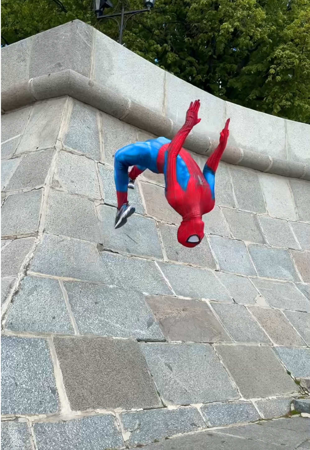 A post by @moscow_spider on TikTok caption: 😍#moscowspider 