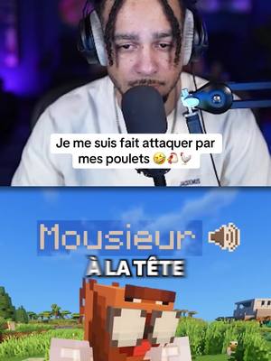 A post by @nico_tine84 on TikTok caption: Twitch: Nico_la (lien en bio) 