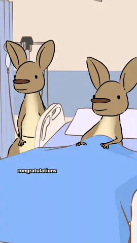 A post by @naturalhabitok on TikTok caption: Fun Fact: Kangaroo joeys are just about 1 inch long and hairless at birth. They immediately crawl into their mother's pouches to develop until they're 8 months old.🫘🦘👶 #naturalhabitok #naturalhabitatshorts #naturalhabitat 