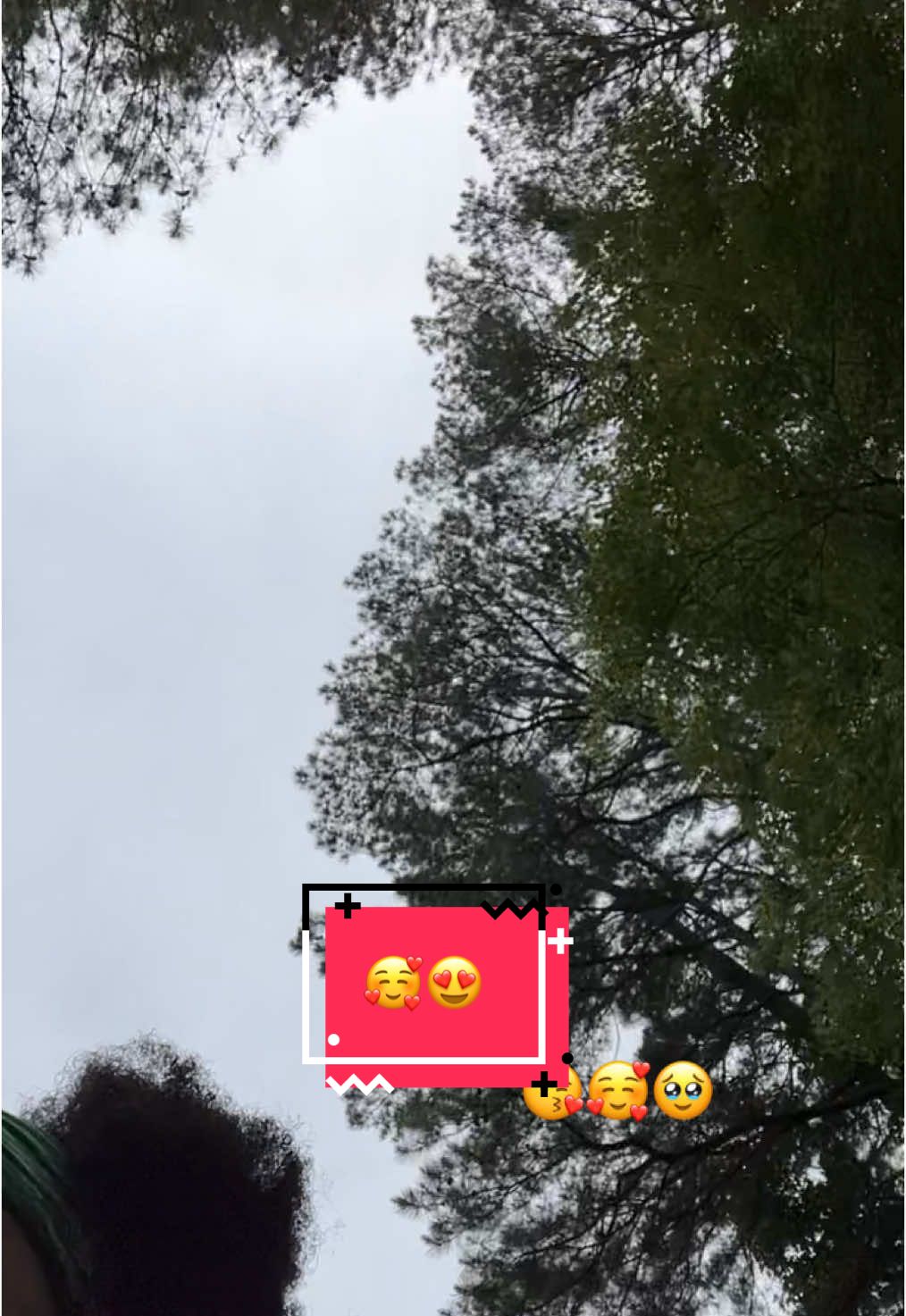 A post by @the_erica_lache on TikTok caption: My baby 😘🥰 #wlw #lgbt🌈 #love #gemini♊️ #leo #followyourbliss 