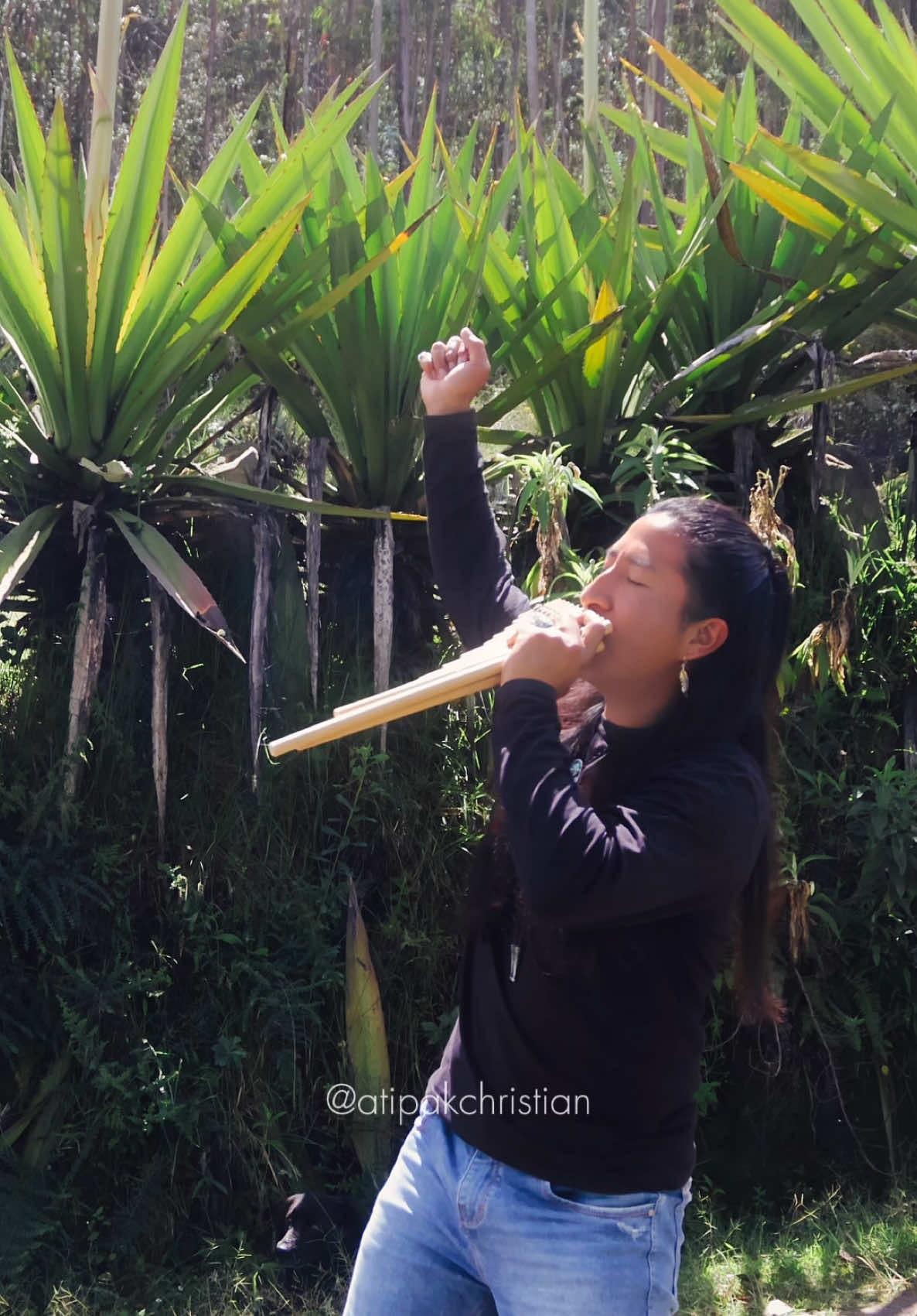 A post by @atipakchristian on TikTok caption: 🤩 Esos Ojitos - Traditional Music from Otavalo, Ecuador 🇪🇨 #otavalo #sanjuanito #andeanmusic 
