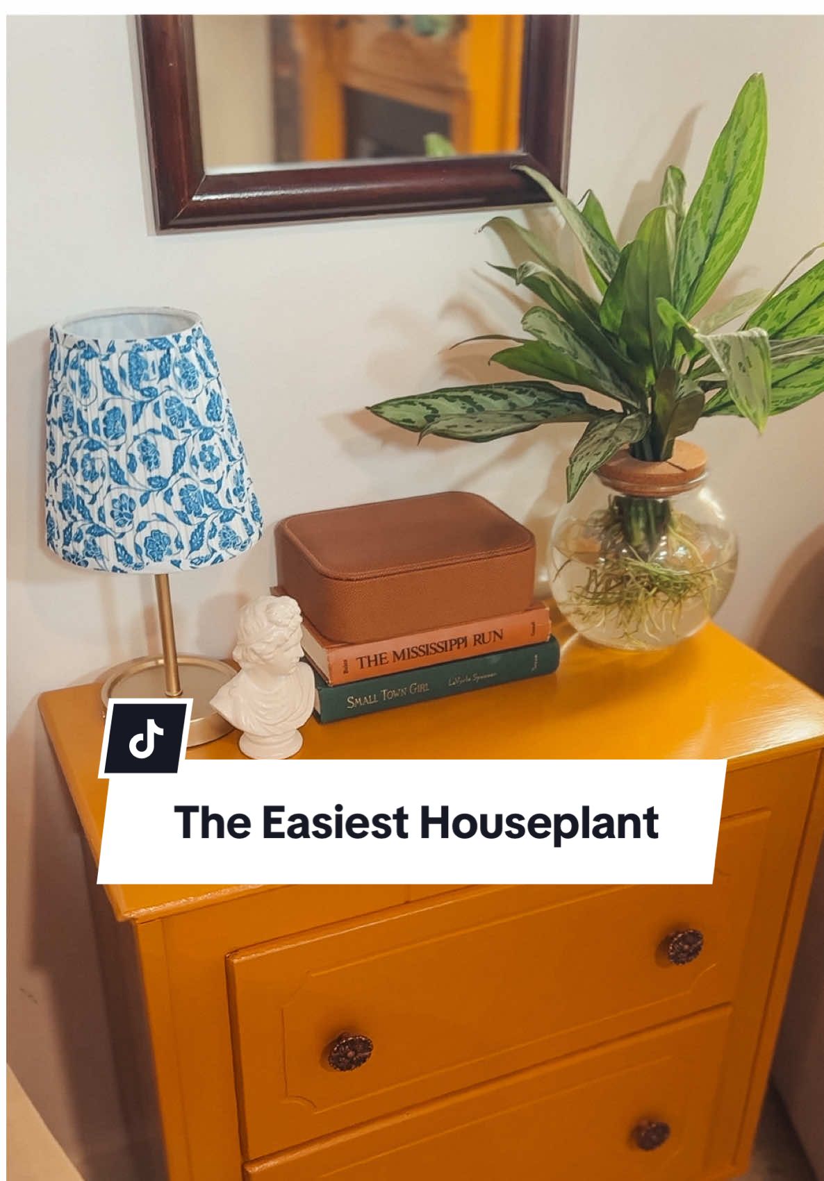 A post by @thecolorofourhome on TikTok caption: Replying to @RealtorLisa This was my Mother’s Day gift, and it might just be the coolest plant I’ve ever seen. It doesn’t need soil, only needs watering about once a month, and thrives without direct sunlight. It’s the ultimate low-maintenance plant—perfect for anyone who struggles to keep plants alive! You can find one @The Home Depot  #plantsoftiktok #plantlover #plantmom 
