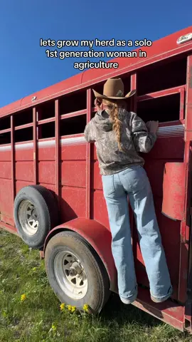 A post by @steadyrein on TikTok caption: the herd is growin’❤️ #montana #homestead #ranchlife #spring 