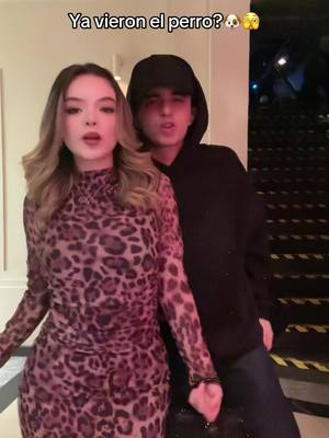 A post by @ferbarraza88 on TikTok caption: Jiji@CAMILA SÁNCHEZ 