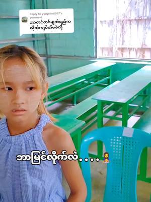 A post by @phoetharlay626 on TikTok caption: Replying to @yynyeinei087 @ဝက်ကလေး 