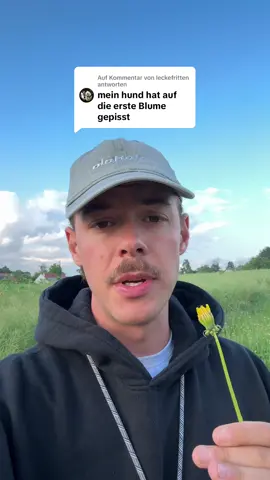A post by @aditotoro on TikTok caption: Antwort auf @leckefritten 