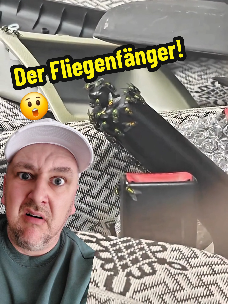 A post by @datschenmaen on TikTok caption: Was habt ihr schon alles neben euch an der #Ampel erlebt und was muss man angefasst haben damit dein #Auto zum Fliegenfänger wird ? Tzzz... #datschenmän #comedie #satirecomedy #fliegen #fliege #schmeißfliegen #autos #handbremse #bremsen #tuning #datsche #lustig #witzig  #lachundsachgeschichten 