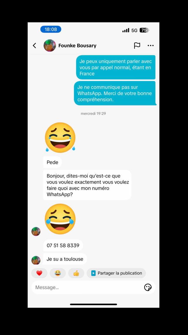A post by @hugo.de.lyon on TikTok caption: @Founke Bousary 
