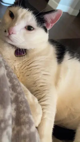 A post by @rileylorraine_ on TikTok