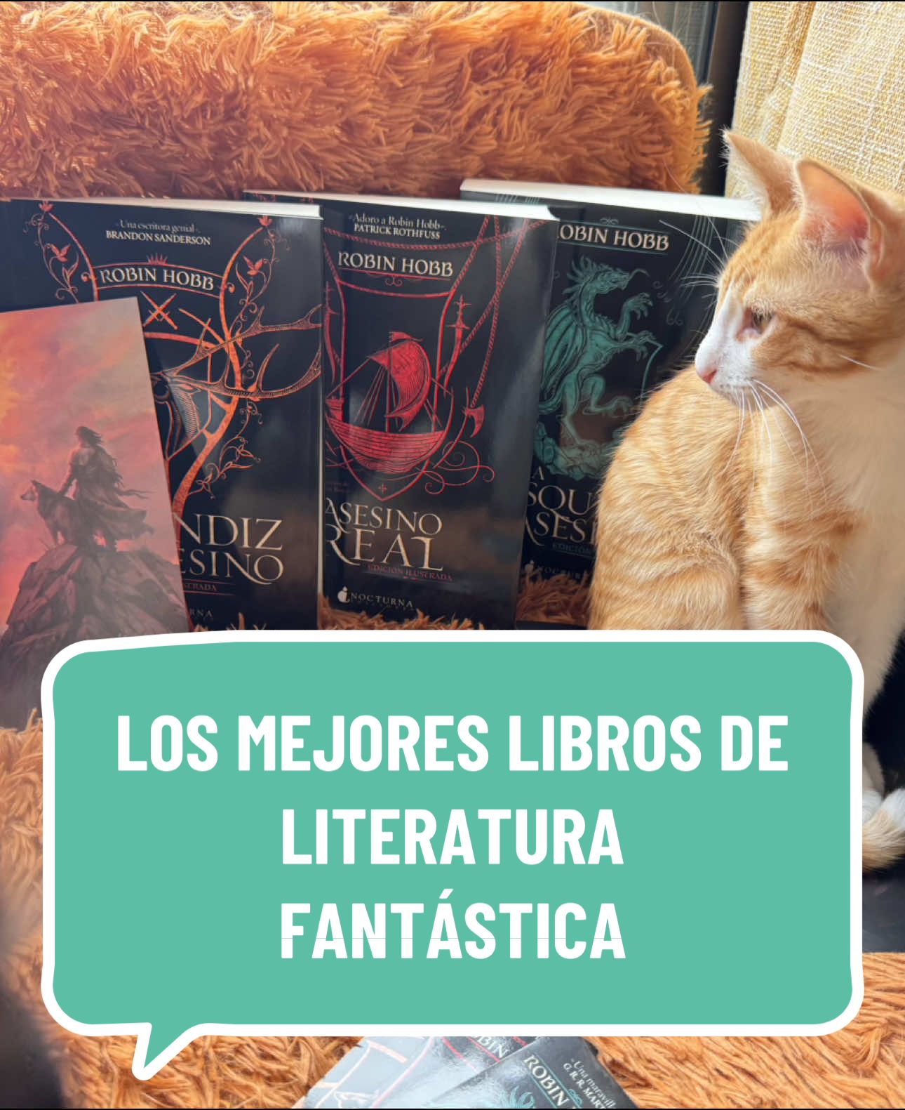 A post by @huronarolera on TikTok caption: Bueno pues @Nocturna Ed ha hecho HISTORIA y han aumentado el fandom de Robin Hobb a niveles que yo quiero: desmayarme de la felicidad. Además versionando las ediciones más chulas que hay de estos libros! Aquí os dejo una guía de lectura que luego os prometo que me vais a agradecer :) #BookTok #robinhobb #literatura #fantasy #medieval #read #libro #books #book #medievalfantasy 