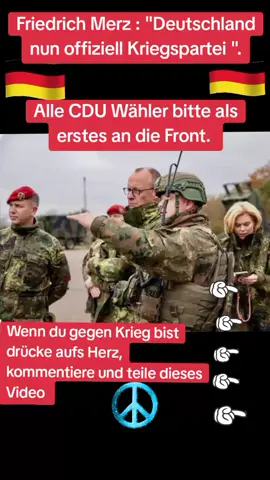 A post by @andiohmsen81 on TikTok caption: #viral_video #deutschland #viral #AfD #germany🇩🇪 #fyp #
