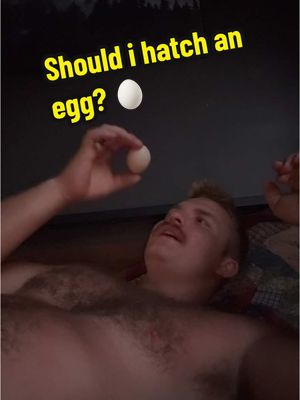 A post by @2guysandsomeland on TikTok caption: I’m in my 🥚✨Broody Era✨🥚 #foryou #egg #chicks #broody #chickens #backyardchickens #fypシ 